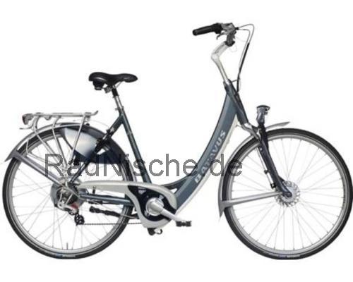 Batavus Padova  technische daten 